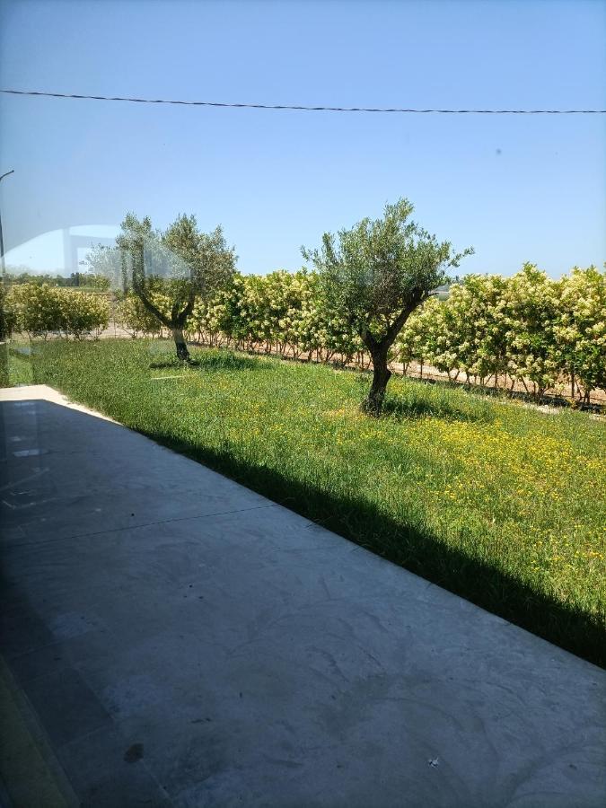 La Ricarda Dimora Di Campagna Bed & Breakfast