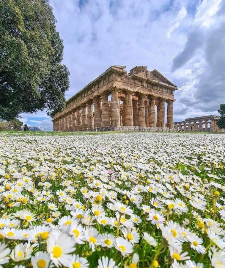 La Ricarda Dimora Di Campagna Bed & Breakfast *