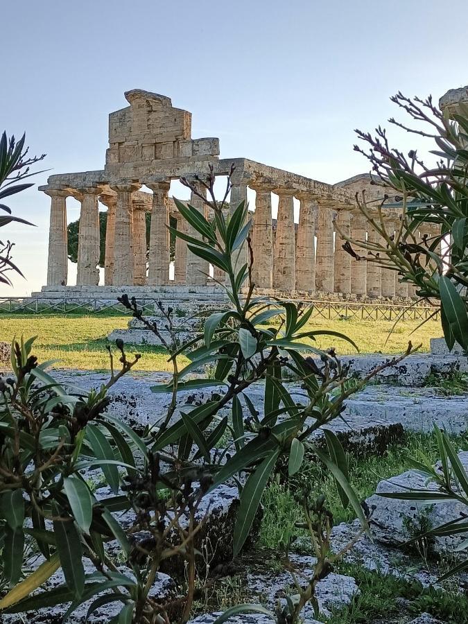 La Ricarda Dimora Di Campagna * Paestum