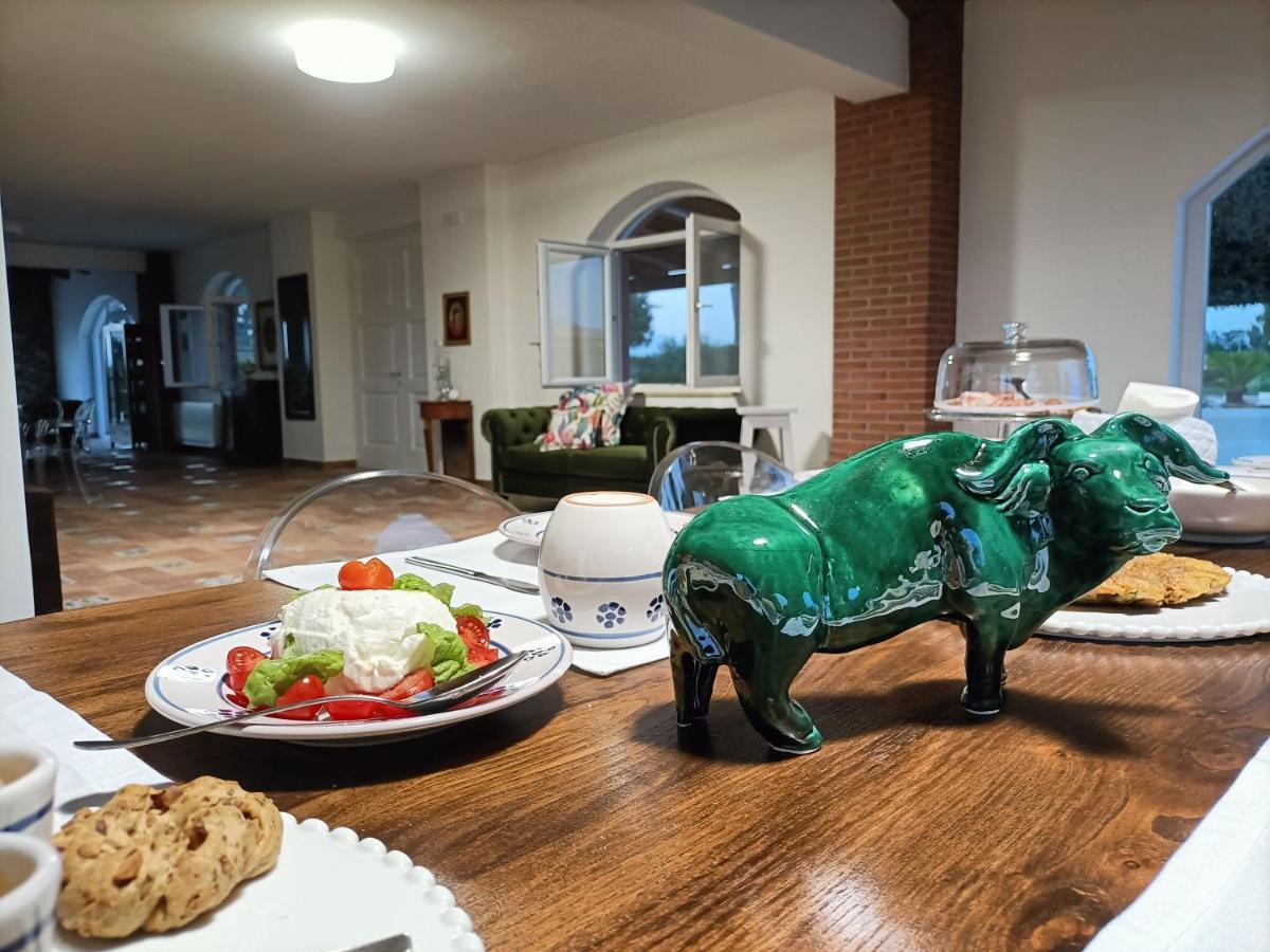 La Ricarda Dimora Di Campagna Bed & Breakfast *
